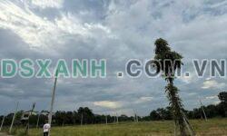 Bán 3 Lô Đất KDC 12 Tam Quan Mới, 150-180m2, Giá Tốt