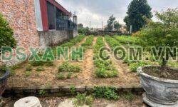 Bán đất 103m2 KCN Quế Võ 2, ô tô vào tận cửa – Đầu tư sinh lời