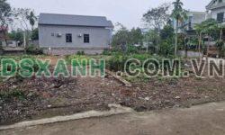 Bán đất 106m² Hợp Châu, Tam Đảo. Thổ cư 100%, giá hơn 1 tỷ