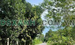 Bán đất thổ cư Phường Ỷ La 6x15m, gần chợ, giá tốt