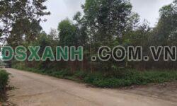 Bán đất 300m2 2 mặt tiền Khu 8 Xã Hy Cương, Việt Trì, Phú Thọ, giá 4 tỷ