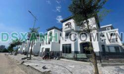 Bán căn hộ The Terrace Lào Cai, 90-300m², giảm 700 triệu