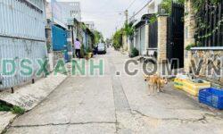 Bán Đất 5×23, 2MT, Thổ Cư Tam Hiệp, TP. Biên Hòa. Giá 3.3 Tỷ