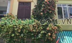 Bán nhà Nam Ngạn 45m2, 3 tầng, 3PN, gần Vinhomes – Giá 2.8 Tỷ