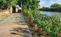 Bán đất VIP Bá Khê, Liên Nghĩa, 106m2 full thổ, View hồ cực đẹp