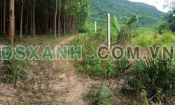 Bán 6 Lô Đất 500m2 Giáp Sông Chò, Xã Khánh Hiệp – Giá Chỉ 139Tr