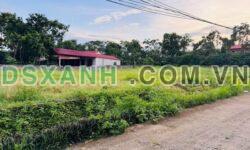 Bán Đất Tam Quan, Tam Đảo: 100-146m2, Thổ Cư, Giá Từ 300tr