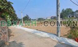 Bán đất TDP Hưng Đạo, TT Tam Sơn, 110m², giá chỉ 4xx triệu