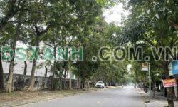 Bán đất 126m2 Hoàng Thị Loan, Bến Thủy, Vinh, Nghệ An, dòng tiền ổn định