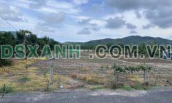 Bán đất Phước Hải 4780m2, 2MT đường, giá chỉ 12 tỷ