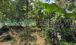 Bán đất 493m² Quảng Trạch, giá tốt 2.3 tỷ đầu tư sinh lời