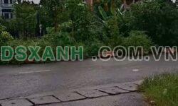Bán đất Phố Hiến 85m2, MT 4m, giá tốt nhất chỉ 2.3 tỷ