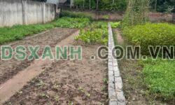 Bán đất 52m² nở hậu, Xã Chương Dương Mới, H.Thường Tín – 1.62 tỷ