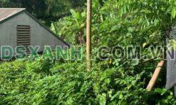 Bán đất Tổ 7 Ngọc Xuân, TP Cao Bằng, 107m2, Giá chỉ 7xx triệu