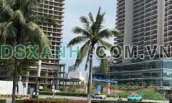 Bán đất 300m2 đường Phạm Văn Đồng, Quận Sơn Trà. Giá 4x tỷ