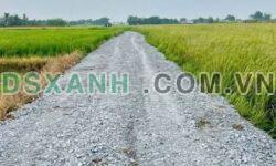 Bán đất mặt tiền đường số 3, 5x24m, 660tr, Xã Hòa Khánh Đông, Huyện Đức Hòa