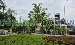Bán gấp 106m2 Phan Bội Châu, Phường Liên Bảo, Giá Tốt