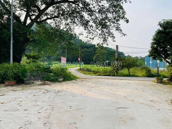 Bán 2 Lô Bãi Dài 155m2 Full Thổ Cư, Xã Yên Xuân, Huyện Quốc Oai