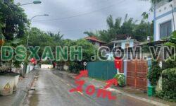 Bán đất Ngọc Xuân 310m2, giá 12tr/m2, xây nhà vườn