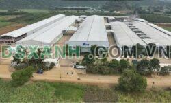 Bán Đất Thạch Quảng, Thanh Hóa 100m2, Giá Chỉ 160 Triệu