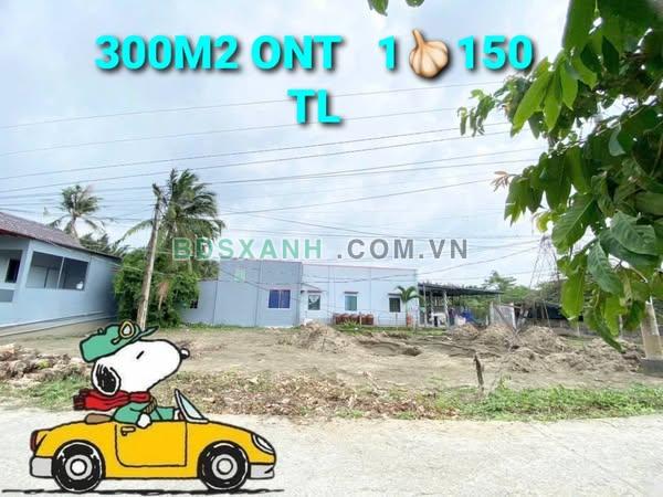 Bán đất thổ cư 300m2, Xã Tân Chánh, Huyện Cần Đước, giá tốt