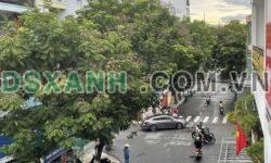 Bán nhà MT KD Nguyễn Duy Hiệu, Sơn Trà. 3 tầng, gần biển, 9 tỷ