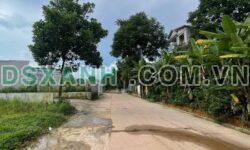 Bán nhà cấp 4, 350m2 thổ cư, gần Chợ Đán – Giá tốt