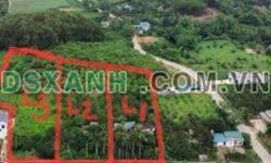 Bán 3 Lô Đất Phú Nghĩa 7100m2, View Đẹp, Giá Rẻ – Lạc Thủy, Hòa Bình