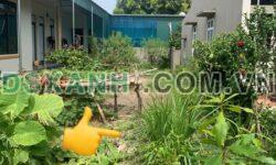 Bán đất nền 120m² Quảng Định, Huyện Quảng Xương. Giá từ 9xx triệu