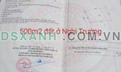 Bán đất Nghi Trường 500m2 full thổ cư, giá tốt