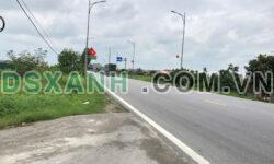 BÁN ĐẤT 8000m² TẠI THANH MIỆN – HẢI DƯƠNG MẶT ĐƯỜNG QUỐC LỘ
