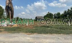 3000m2 đất ( có 300m2 thổ) đường Trương Văn Đa, xã Bình Lợi, Bình Chánh giá 11 tỷ