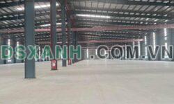 Cho thuê nhà xưởng 13.000m² tại Cẩm Giàng Hải Dương xưởng đẹp
