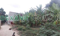 Bán đất thổ cư 75m2 Lãm Trại, Vân Dương, giá tốt