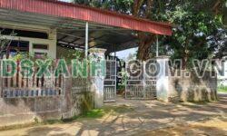 Bán nhà Xã Thục Luyện, Huyện Thanh Sơn, 320m² thổ cư + vườn