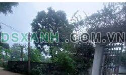 Bán đất Linh Sơn 1500m2, 200m2 thổ cư, giá chỉ 2tr/m2