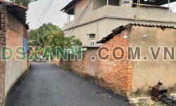 Bán đất 99m² Xóm Chùa, Đinh Trung, giá 1.8 tỷ – TP Vĩnh Yên