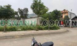 Bán đất TDC Làng Thá, Cam Đường 121m2, 2 mặt tiền, 1.16 tỷ