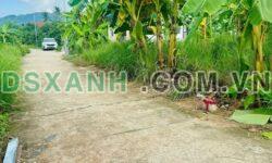 Bán đất Tân Xương, Lâm Hà: 84-90m2 thổ cư, đường ô tô, giá từ 560tr