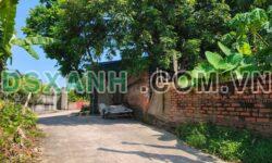 Bán đất 100m2 Lập Trí, Kim An, Huyện Sóc Sơn. Giá chỉ 2x tr/m2