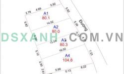Bán đất thổ cư Thôn 5, Hoàng Hoa, Huyện Tam Dương. Giá 5xx triệu