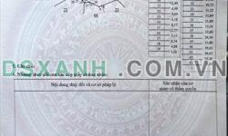 Bán 3ha Điều Đồng Tâm, Đồng Phú. Giá chỉ 400tr/ha