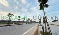 Bán đất Âu Lâu, TP. Lào Cai, 113.8m2, 2 mặt tiền, Giá 1.23 tỷ