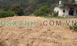 Bán đất Chí Đám, Đoan Hùng, Phú Thọ 600m², 100m² thổ cư, Giá tốt