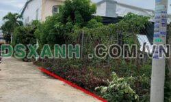 Bán đất 125m2 Xã Diên Khánh, Huyện Diên Khánh, giá tốt