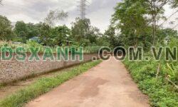 Bán đất Nông Trang, Phú Thọ 141m2 full thổ cư, giá tốt