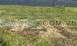 Bán đất Hồ Tràm 980m2, cách biển 900m – Giá 14 tỷ TL