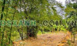 Bán Đất View Suối, Xã Tân Lợi, 515m2, Giá Ngộp Bank 1.99 Tỷ