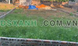 Bán đất Khu 14 Thanh Miếu, TP Việt Trì, 147.9m2, nở hậu, giá 4.35 tỷ