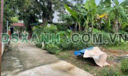 Bán đất Nông Trang, Phú Thọ: 125m2, 100m2 thổ cư, MT 6.2m
